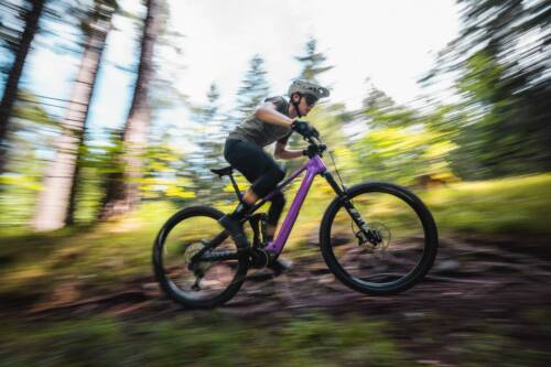 3 Resized BIXS Sign E 240625jc 240625 signex 0094