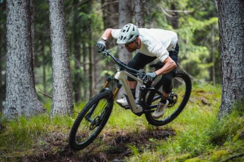 6 Resized BIXS Sign E 240625jc 240625 signex 0107