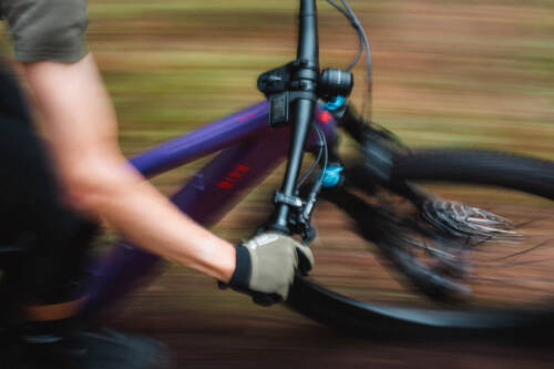 8 Resized BIXS Sign E 240625jc 240625 signex 0126